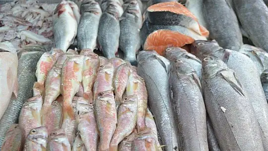 Av yasakları Akdeniz'de 15 Eylül'de, diğer denizlerde 1 Eylül'de kalkıyor