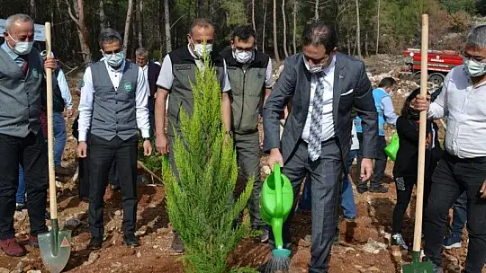 Fethiye'de 5 bin fidan toprakla buluştu