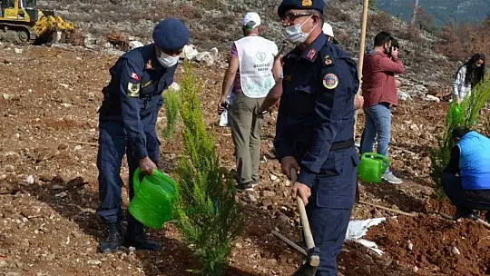 Fethiye'de 5 bin fidan toprakla buluştu