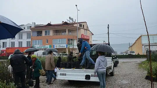 Coğrafi İşaretli Fethiye Kaya İnciri Fidanları Üreticilerle Buluştu