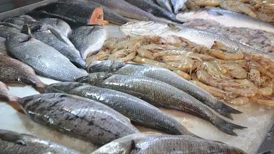 Av yasakları Akdeniz'de 15 Eylül'de, diğer denizlerde 1 Eylül'de kalkıyor