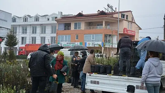Coğrafi İşaretli Fethiye Kaya İnciri Fidanları Üreticilerle Buluştu