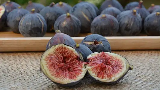 Fethiye Kaya İnciri artık coğrafi işaretli