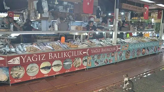 Av yasakları Akdeniz'de 15 Eylül'de, diğer denizlerde 1 Eylül'de kalkıyor