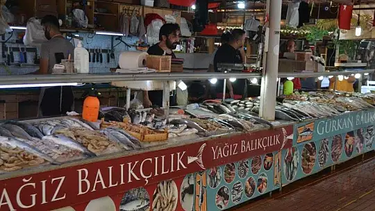 Av yasakları Akdeniz'de 15 Eylül'de, diğer denizlerde 1 Eylül'de kalkıyor