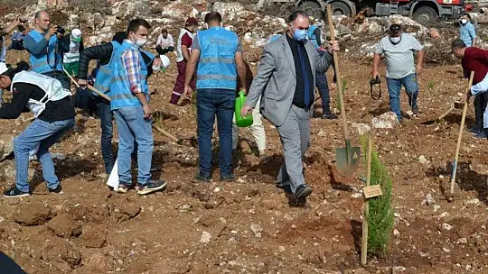 Fethiye'de 5 bin fidan toprakla buluştu