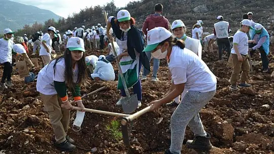Fethiye'de 5 bin fidan toprakla buluştu