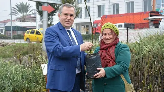 Coğrafi İşaretli Fethiye Kaya İnciri Fidanları Üreticilerle Buluştu