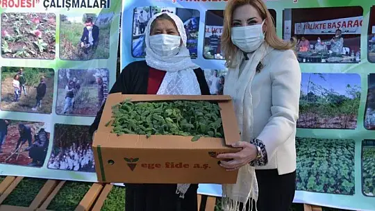 Fethiye'de Aromatik Bitkiler Bayramı