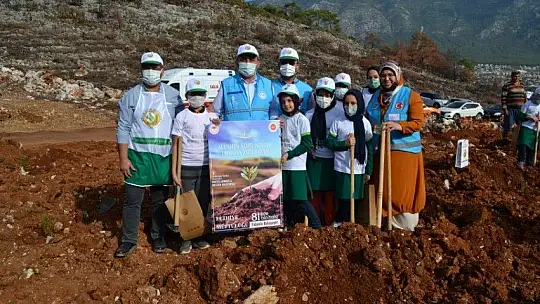 Fethiye'de 5 bin fidan toprakla buluştu