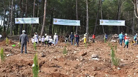 Fethiye'de 5 bin fidan toprakla buluştu