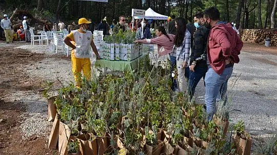 Fethiye'de 5 bin fidan toprakla buluştu