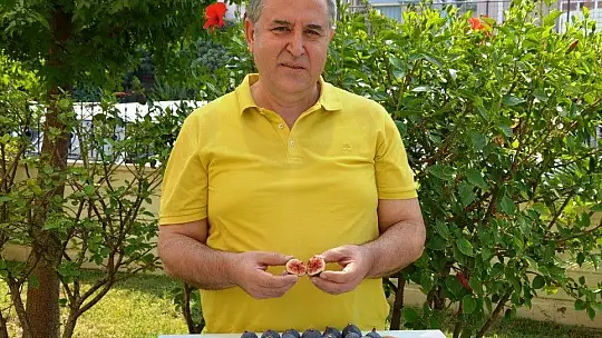 Fethiye Kaya İnciri artık coğrafi işaretli