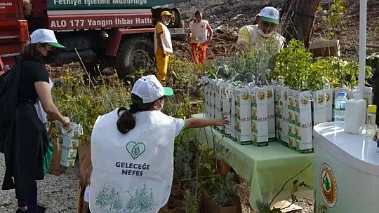 Fethiye'de 5 bin fidan toprakla buluştu