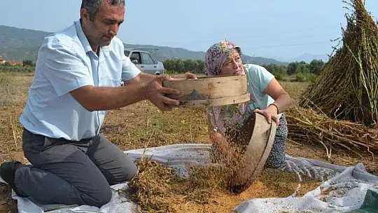 FETHİYELİ SUSAM ÜRETİCİLERİ, 'BİZİM İÇİN DE İHRACAT YOLU AÇILSIN'