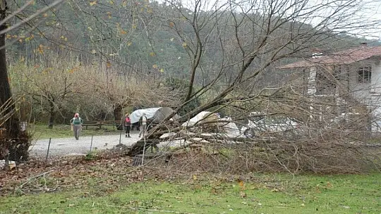 30 yıl sonra gelen afet