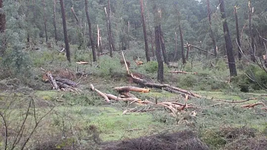 30 yıl sonra gelen afet