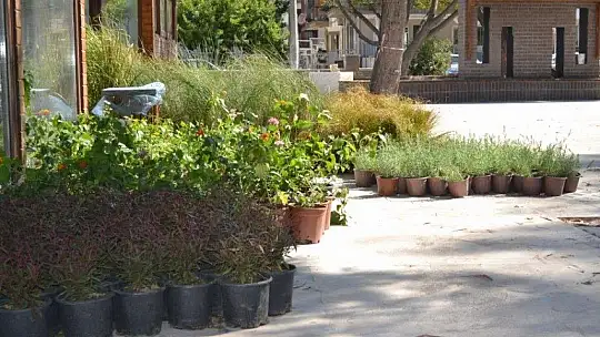 Bahriye Üçok Parkı'nda sona gelindi