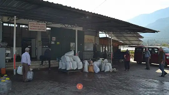 Zeytinyağı fabrikalarında yoğunluk yaşanıyor