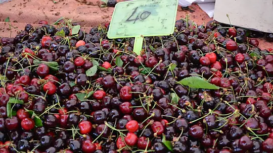Üretici pazarında vatandaşın odağı fiyatlar oldu