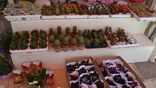 Çiçekçilerde Anneler Günü Yoğunluğu