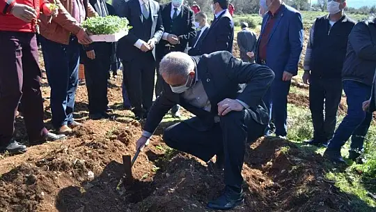 Fethiye'de Aromatik Bitkiler Bayramı