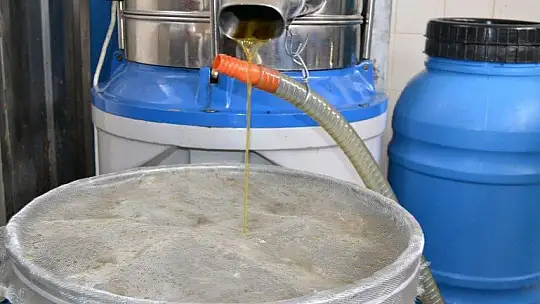 Zeytinyağı fabrikalarında yoğunluk yaşanıyor