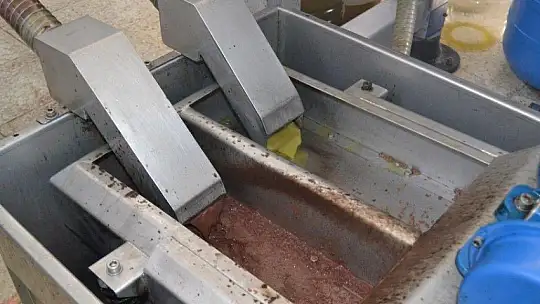 Zeytinyağı fabrikalarında yoğunluk yaşanıyor