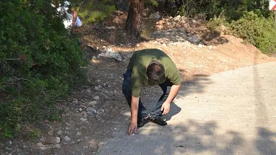 Ölüdeniz'de Bayram Sonu Çevre Temizliği Yapıldı
