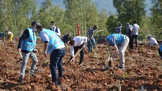 Fethiye'de geleceğe nefes