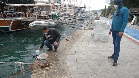 Fethiye'de deniz suyu yükseldi