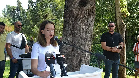 CUMHURİYET MEYDANINDA, CUMHURİYET COŞKUSU