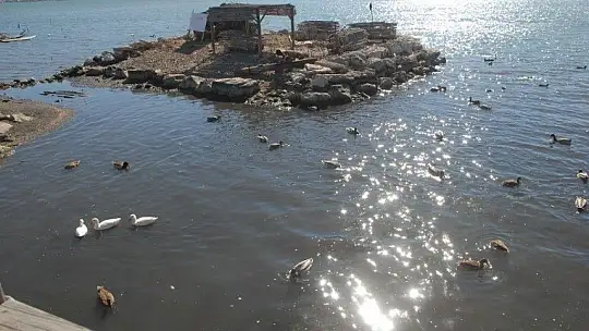 Ördek Adası ilgi bekliyor