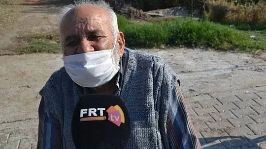 Zeytinyağı fabrikalarında hareketlilik