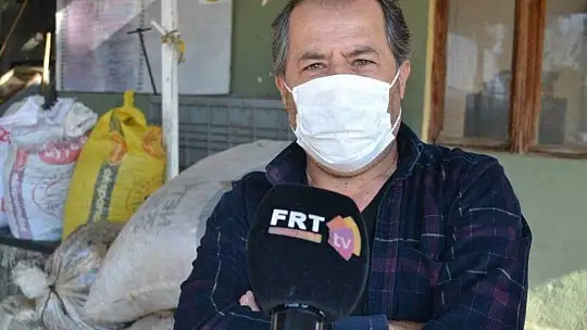 Zeytinyağı fabrikalarında hareketlilik