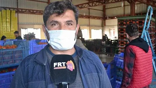 Domateste ihracat hız kesmiyor