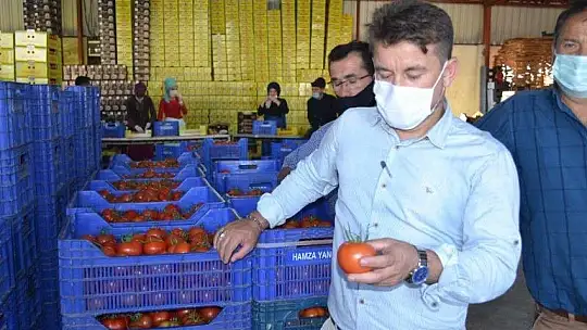 Domateste ihracat hız kesmiyor