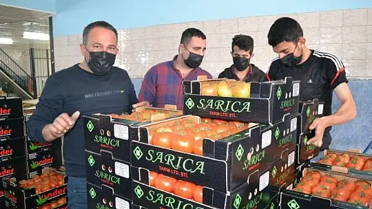 Fethiye bölgesinden günlük 2 bin ton domates gidiyor
