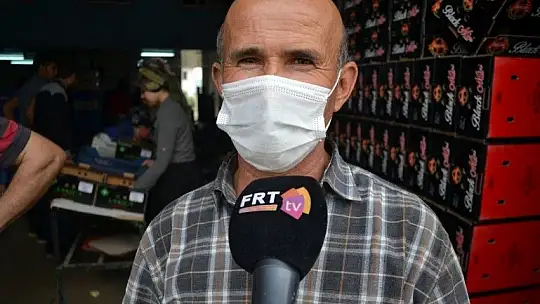 Fethiye bölgesinden günlük 2 bin ton domates gidiyor