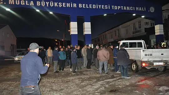 DAŞAR, 'MADEM DOMATES PİYASASI YÜKSEK, ÖNCE MAZOT DÜŞECEK'