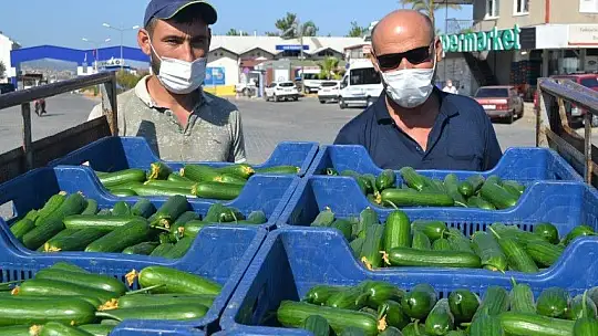 Çiftçiler isyanda Salatalık başka şehirde 2.50, Fethiye'de 80 kuruş
