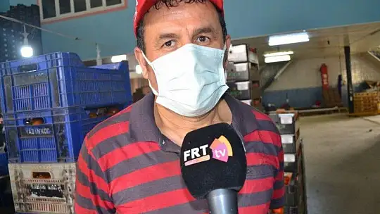 Fethiye bölgesinden günlük 2 bin ton domates gidiyor