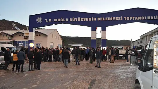 DAŞAR, 'MADEM DOMATES PİYASASI YÜKSEK, ÖNCE MAZOT DÜŞECEK'