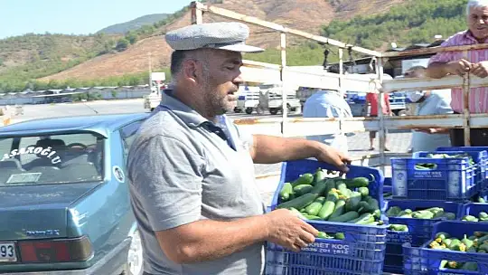 Çiftçiler isyanda Salatalık başka şehirde 2.50, Fethiye'de 80 kuruş
