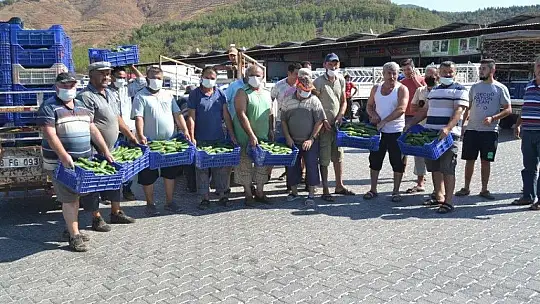 Çiftçiler isyanda Salatalık başka şehirde 2.50, Fethiye'de 80 kuruş