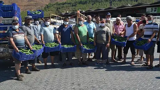 Çiftçiler isyanda Salatalık başka şehirde 2.50, Fethiye'de 80 kuruş