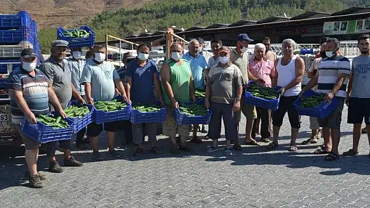 Çiftçiler isyanda Salatalık başka şehirde 2.50, Fethiye'de 80 kuruş