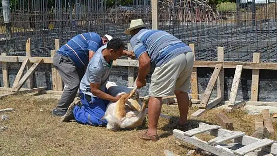Kaymakam Fırat, 'Bucak Cami Fethiye'mize hayırlı olsun'
