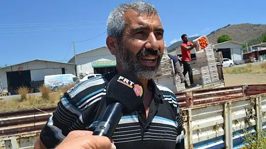 Domates salçaya gitmeye başladı