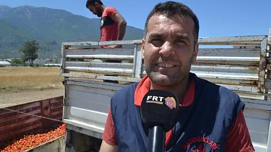 Domates salçaya gitmeye başladı